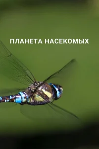 Планета насекомых1 сезон